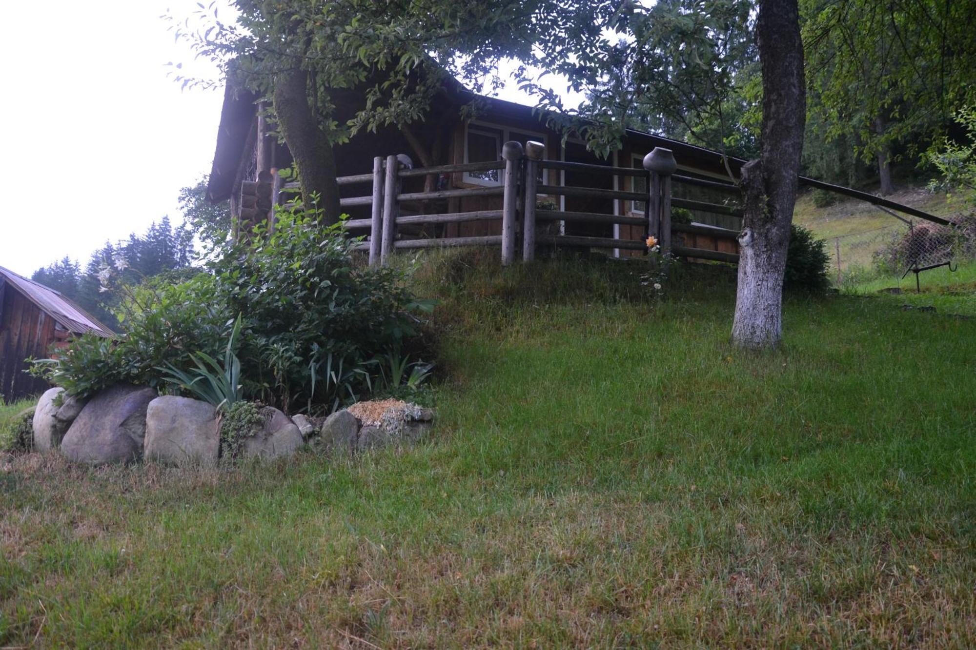 Pid Lisochkom Holiday home Verkhovyna