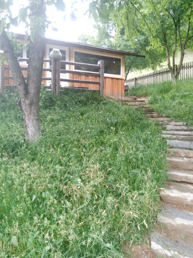 Holiday home Pid Lisochkom Verkhovyna